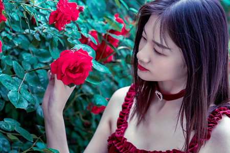 广东联合港澳发布“湾区标准”244项